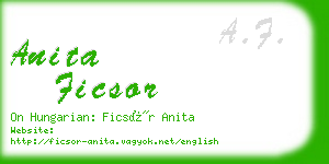 anita ficsor business card